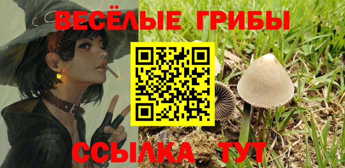 Псилоцибиновые грибы Psilocybe  Вход с VPN  Борисоглебск 